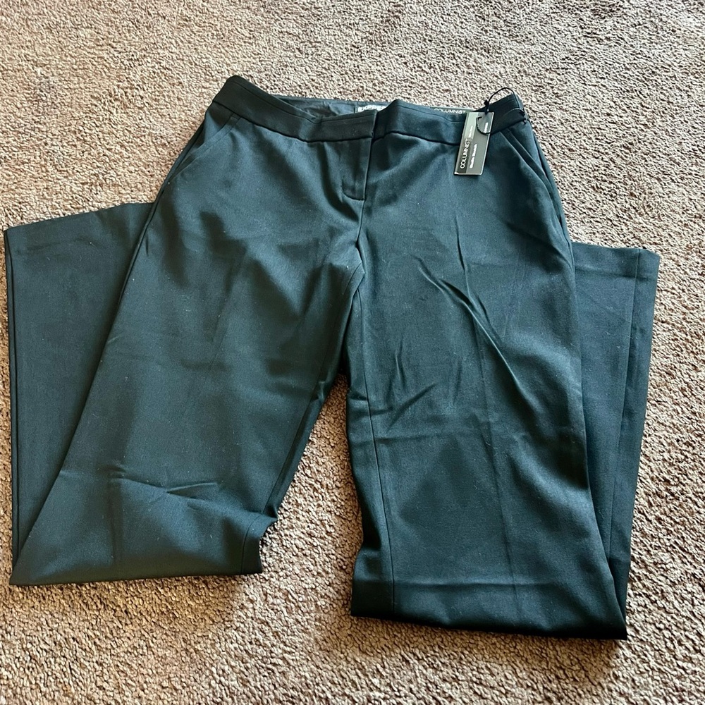 Express Women’s Columnist Dress Pants